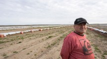 Imagen de Llegó desde Chile siendo un niño, empezó trabajando a porcentaje y hoy cultiva 100 hectáreas de cebolla en la Patagonia