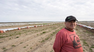 Llegó desde Chile siendo un niño, empezó trabajando a porcentaje y hoy cultiva 100 hectáreas de cebolla en la Patagonia