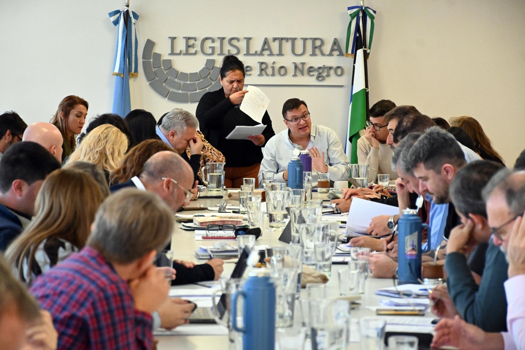 La Legislatura de Río Negro debatirá la tasa de cobro en Comisiones de Fomento