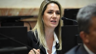 Violencia de género: el polémico proyecto sobre falsas denuncias fue modificado y apuntan a votarlo el 6 de agosto