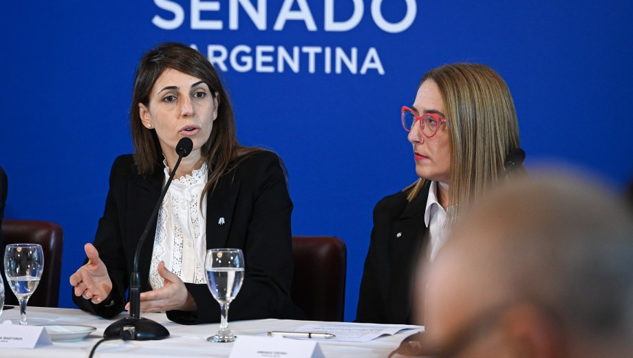 María Laura Irastorza (izq), postulante a defensora pública de la Víctima del fuero federal en Río Negro. Foto: Gentileza Senado de la Nación 