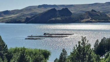 Del Limay al mundo, la trucha neuquina impulsa el crecimiento