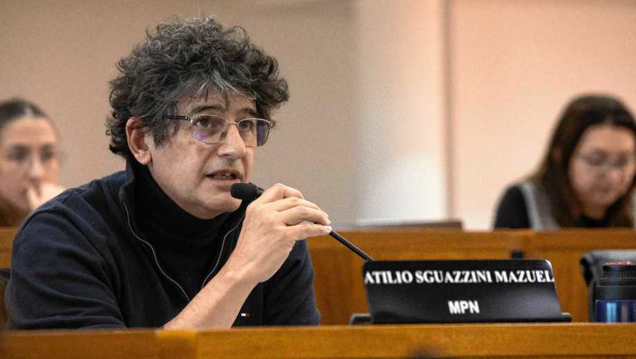 El oficialismo logró unanimidad para la regulación de pantallas (foto Emiliano Ortiz)