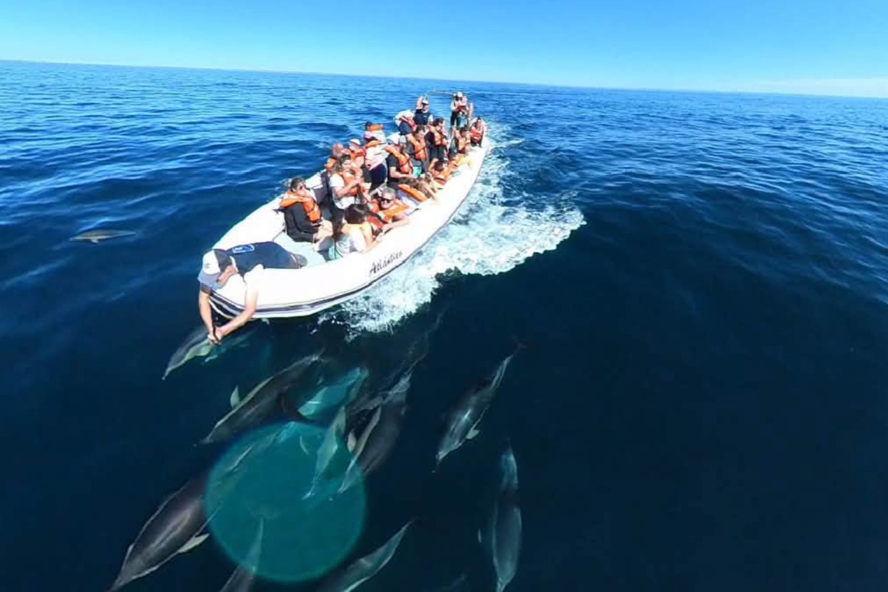 Vacaciones de invierno: qué hacer en el Golfo San Matías para disfrutar la costa de Río Negro