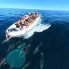 Imagen de Vacaciones de invierno: qué hacer en el Golfo San Matías para disfrutar la costa de Río Negro