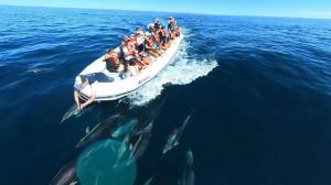 Vacaciones de invierno: qué hacer en el Golfo San Matías para disfrutar la costa de Río Negro