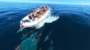 Vacaciones de invierno: qué hacer en el Golfo San Matías para disfrutar la costa de Río Negro