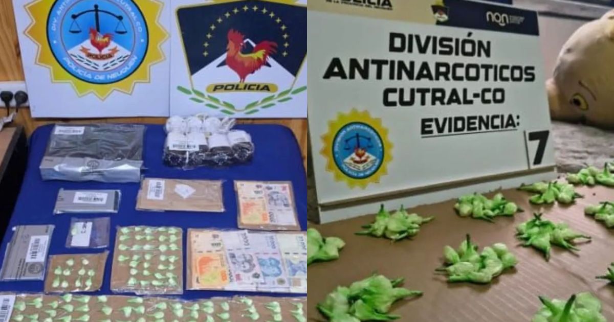 Desarticulan un punto de venta de drogas en Cutral Co con 350 dosis de cocaína