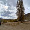Imagen de Vive en un paraje de Río Negro, lo acusaron de golpear a su pareja y quedó detenido con preventiva