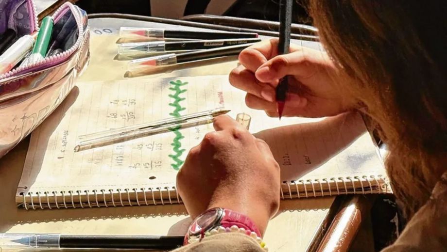 Aprender 2025: mejoran los resultados en Lengua y Matemática en primaria pero persisten fuertes brechas sociales