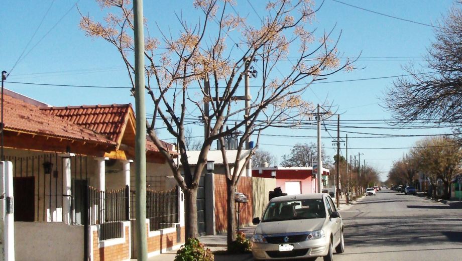 Un ejemplo de buenas practicas de poda. Foto gentileza: Ing.Agr. Rafael de Rossi.