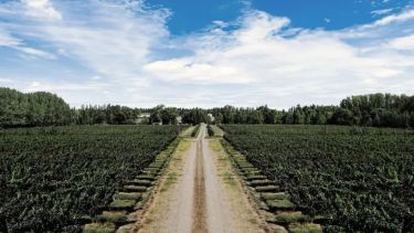 Google Pinpoint | Los caminos del vino y de la vida en Río Negro y Neuquén