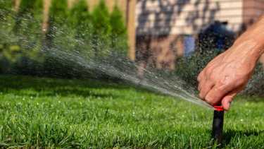 Cuidado del césped en invierno: por qué es crucial moderar el riego ahora