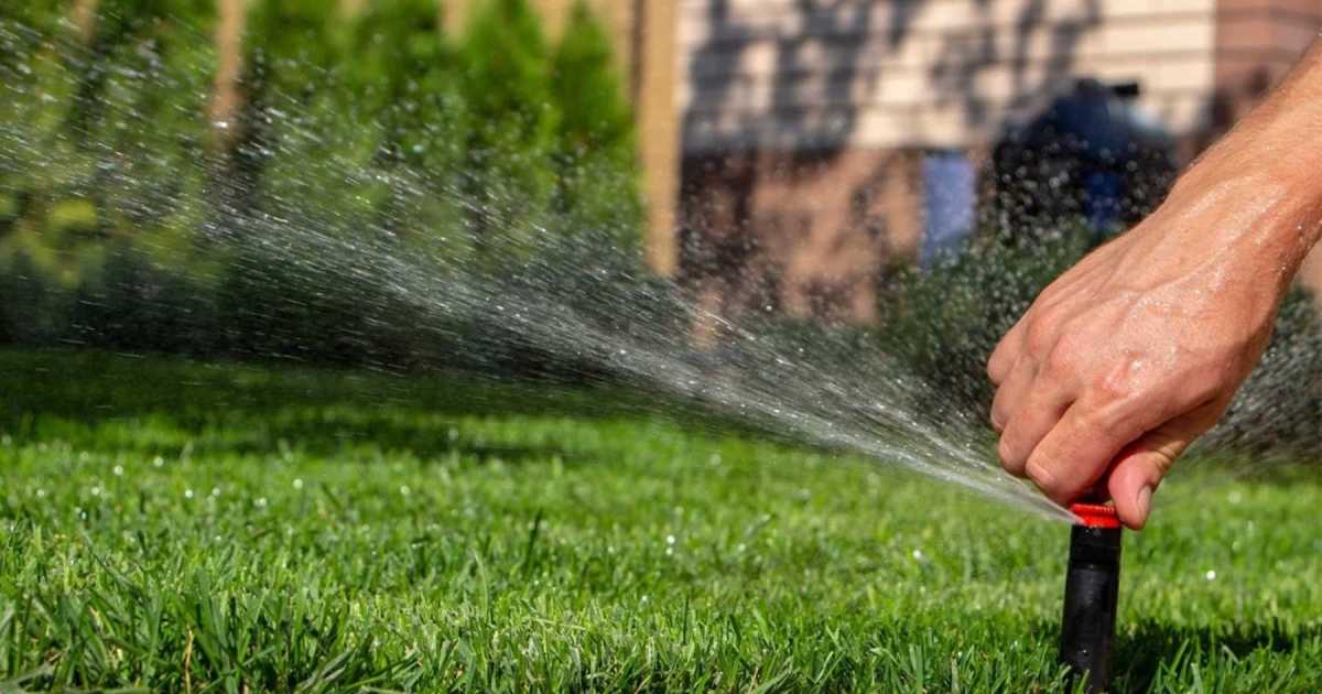 Cuidado del césped invernal: la importancia de moderar el riego