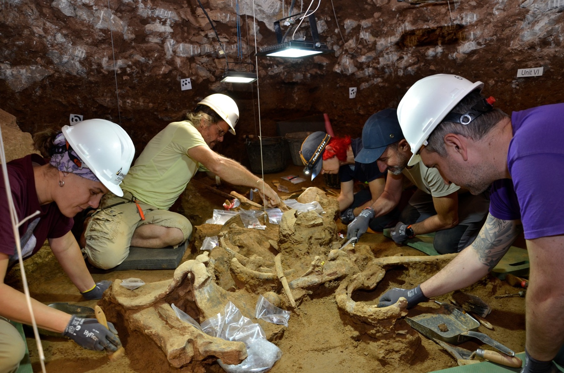 Gran descubrimiento en España: dos rinocerontes de 200.000 años revelan cómo vivían los neandertales