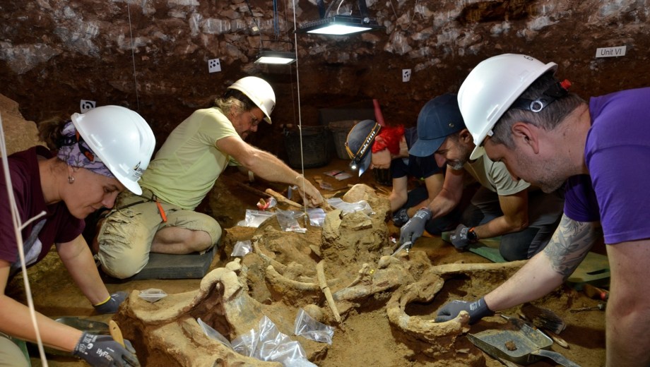 Investigadores del Conicet participaron del hallazgo de rinocerontes de 200.000 años en España. (Gentileza).
