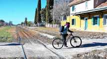 Imagen de El plan para extender el Tren del Valle hasta Chichinales: «El tramo Cipolletti-Roca es el más viable»