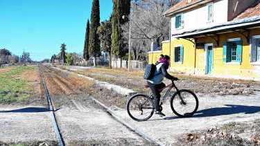 El plan para extender el Tren del Valle hasta Chichinales: «El tramo Cipolletti-Roca es el más viable»