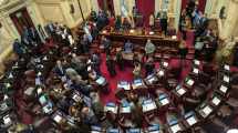 Imagen de Revés para el Gobierno: se postergó para el 6 de agosto la votación de la ley de venta de tierras