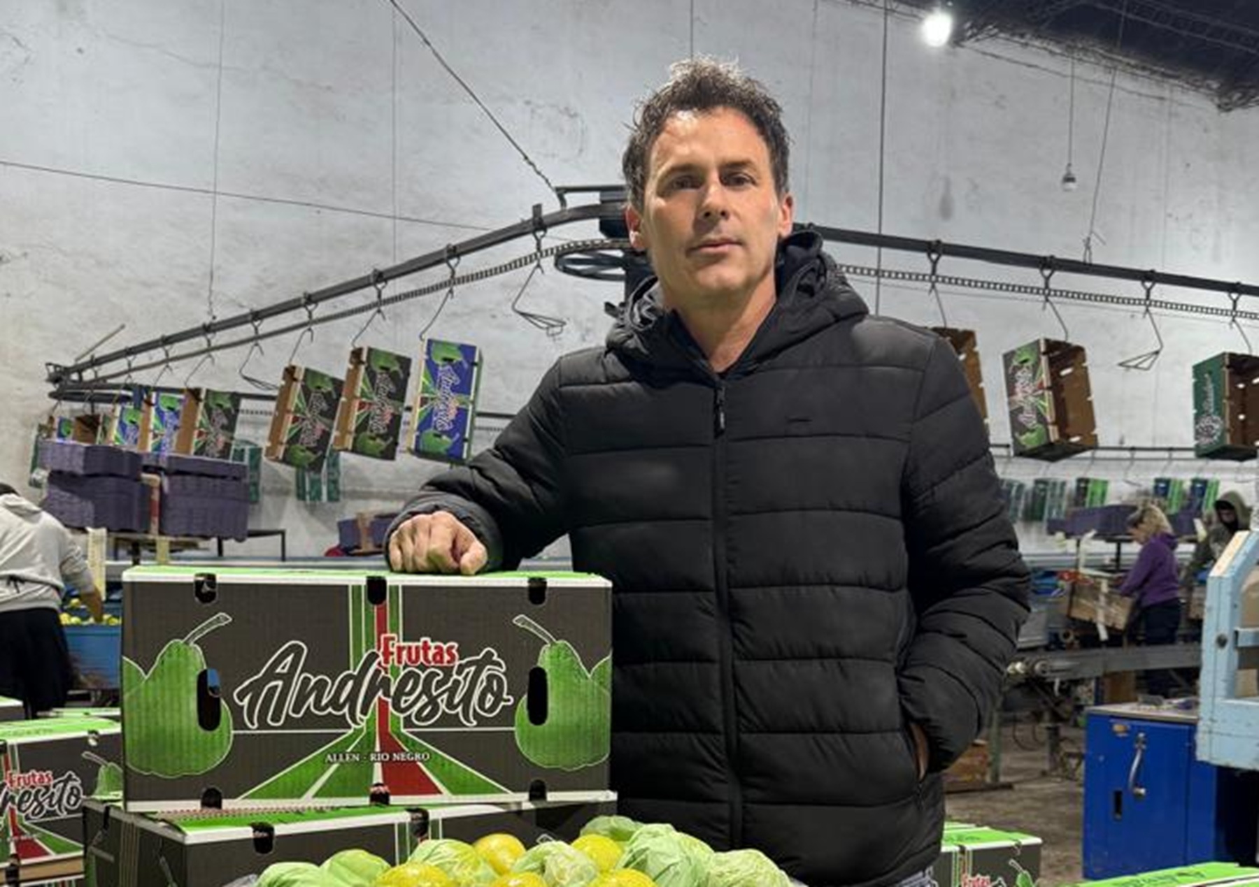 Claves para el desarrollo de la fruticultura en la norpatagonia