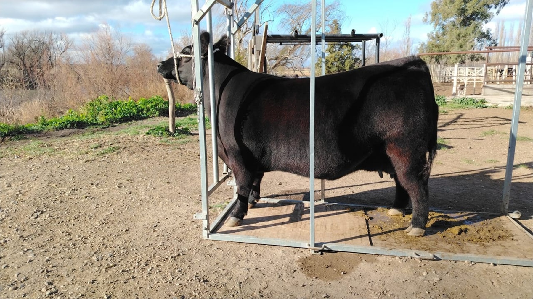 Cabañas patagónicas participarán en la Expo Rural de Palermo 2026