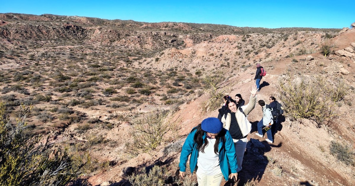 Estudios en Ciencias Ambientales en el Alto Valle: Un enfoque práctico