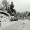 Imagen de Llegó la nevada "más intensa" del año a Villa La Angostura: "Vino a alegrarnos las vacaciones de invierno"