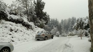 Combo extremo en la Patagonia: lluvia, nieve y viento con ráfagas de hasta 78 km/h complican el lunes en Neuquén y Río Negro