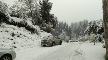 Combo extremo en la Patagonia: lluvia, nieve y viento con ráfagas de hasta 78 km/h complican el lunes en Neuquén y Río Negro