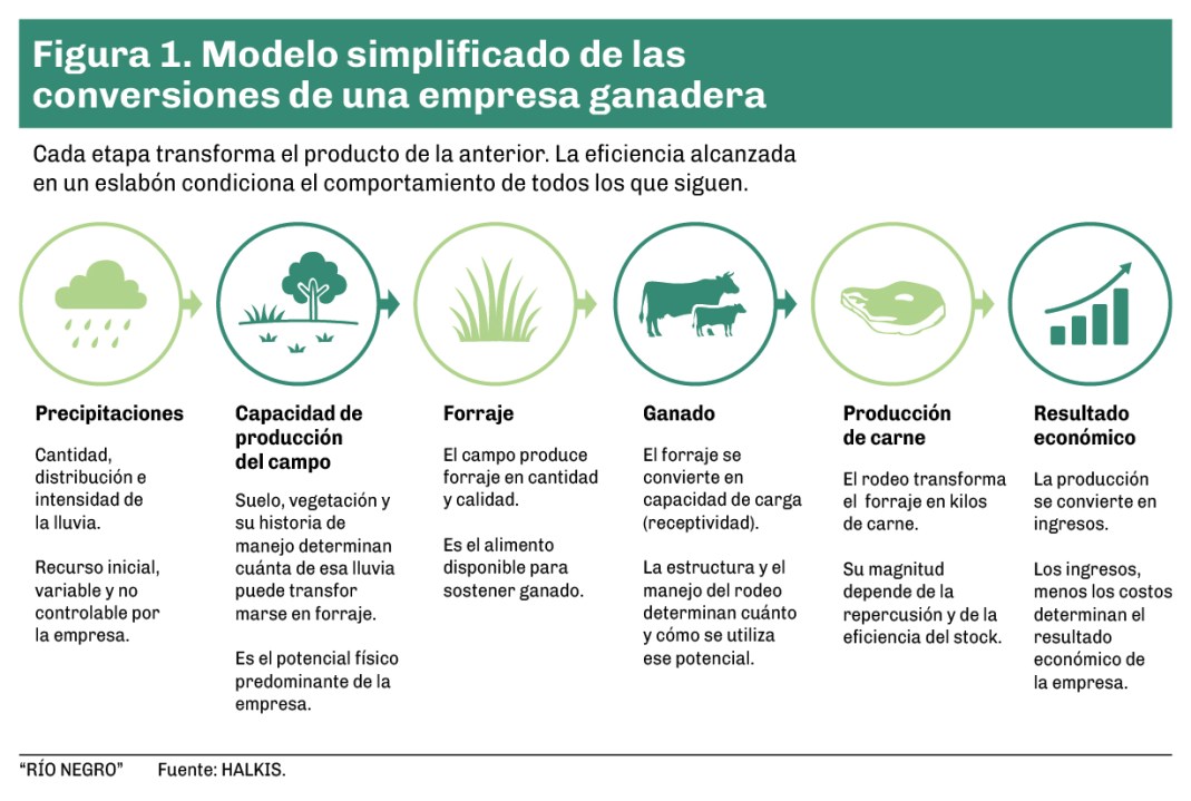 Cada etapa transforma el producto de la anterior. La eficiencia alcanzada en un eslabón condiciona el comportamiento de todos los que siguen.