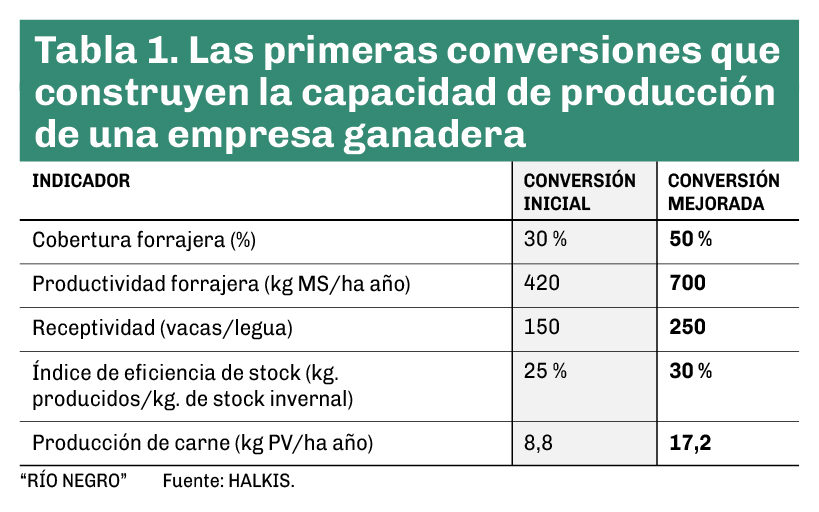 La tabla debe leerse de arriba hacia abajo. Cada indicador es consecuencia del anterior. A medida que mejora la capacidad del campo para producir forraje, aumenta la receptividad, mejora el desempeño del stock y crece la producción de carne por hectárea.