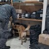 Imagen de Operativo en la terminal de Viedma: perros detectores inspeccionaron micros y encomiendas en busca de droga