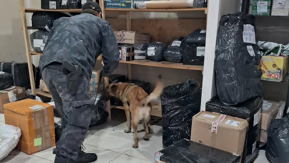 Fuerte operativo de Toxicomanía con perros entrenados. Foto: gentileza.