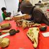Imagen de Un museo que despierta vocaciones: talleres para que los chicos descubran la ciencia