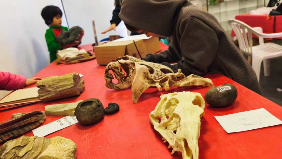 La propuesta del Museo Paleontológico Bariloche para las vacaciones de invierno. Foto: gentileza