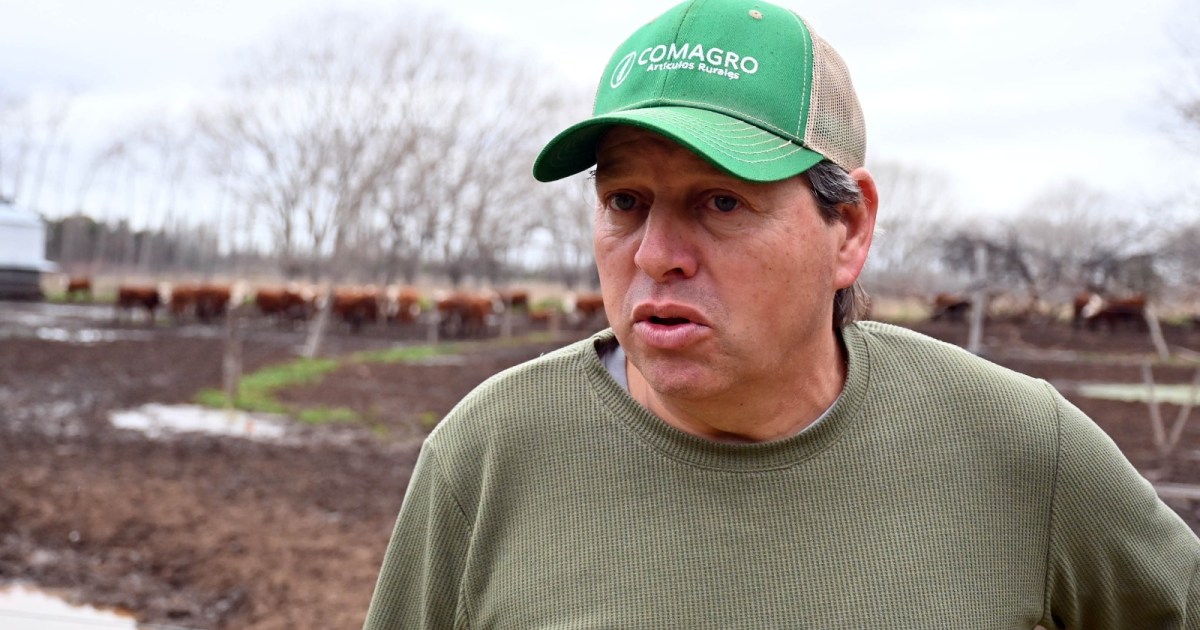 De rotisería a modelo ganadero: trayectoria en 8.000 hectáreas patagónicas