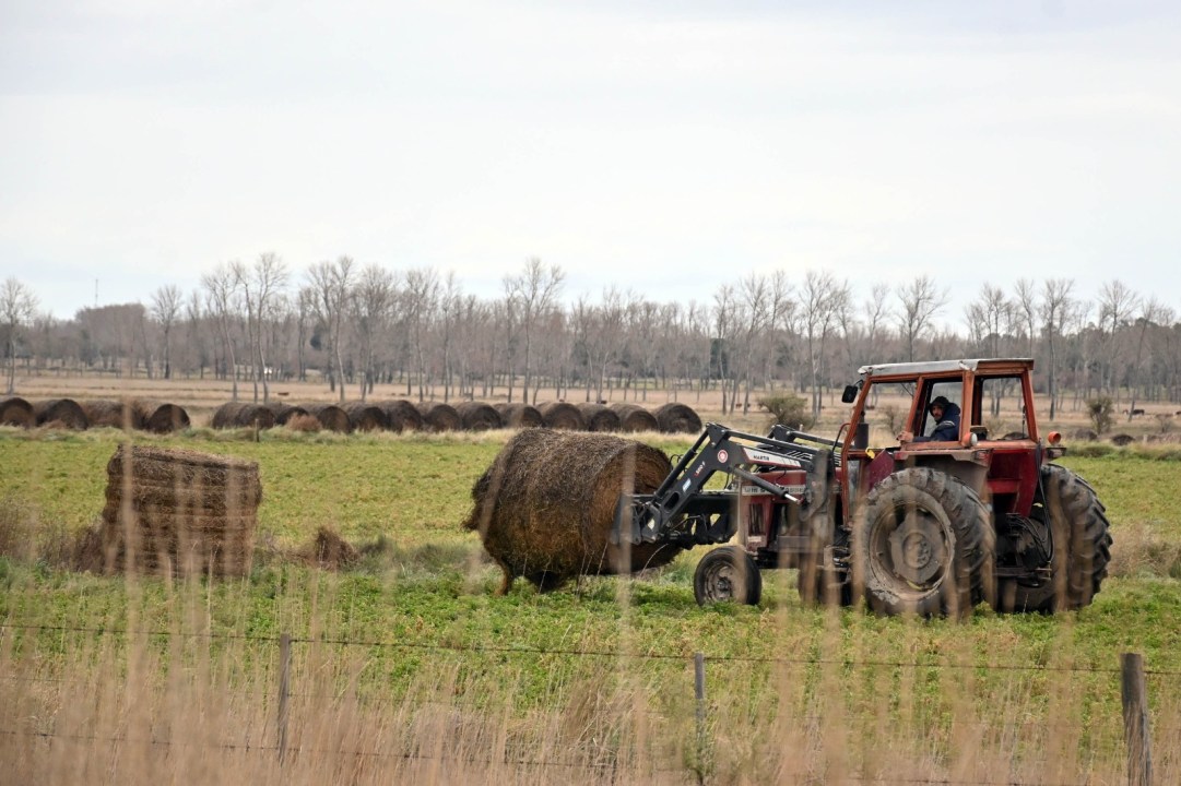 La confección de rollos permite garantizar alimento para la hacienda y afrontar los años de sequía con mayores reservas. Foto: Marcelo Ochoa.