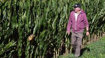 Imagen de Llegaron de Europa al riego naciente, pasaron del tambo al Angus y llevan 56 años produciendo en la Patagonia