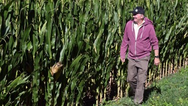 Llegaron de Europa al riego naciente, pasaron del tambo al Angus y llevan 56 años produciendo en la Patagonia