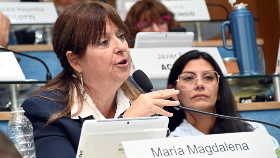 La legisladora provincial Magdalena Odarda. Foto: Marcelo Ochoa.