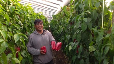 Eliminar intermediarios y abaratar costos: la propuesta de productores de Conesa que buscan extenderse