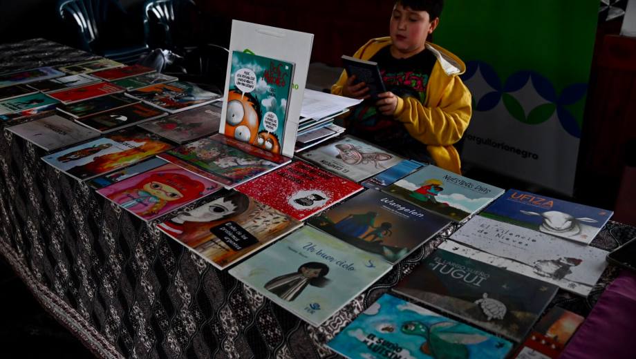 La segunda feria del libro infantil y juvenil Mundo Pichi Keche comenzó este jueves en el Puerto San Carlos. Foto: Alfredo Leiva
