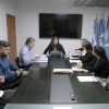 Imagen de Una empresa se presentó para administrar la fiesta nacional más convocante de Neuquén