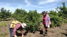 Imagen de Del laboratorio al campo: los científicos rastrean las zonas ideales para cultivar trufas en Río Negro