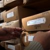 Imagen de 59 años cuidando la memoria: el Archivo Histórico de Río Negro resguarda un patrimonio único