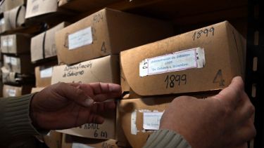 59 años cuidando la memoria: el Archivo Histórico de Río Negro resguarda un patrimonio único
