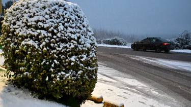 Alerta en rutas de la Patagonia: reabren pasos a Chile desde Neuquén y continúa la niebla en el Alto Valle