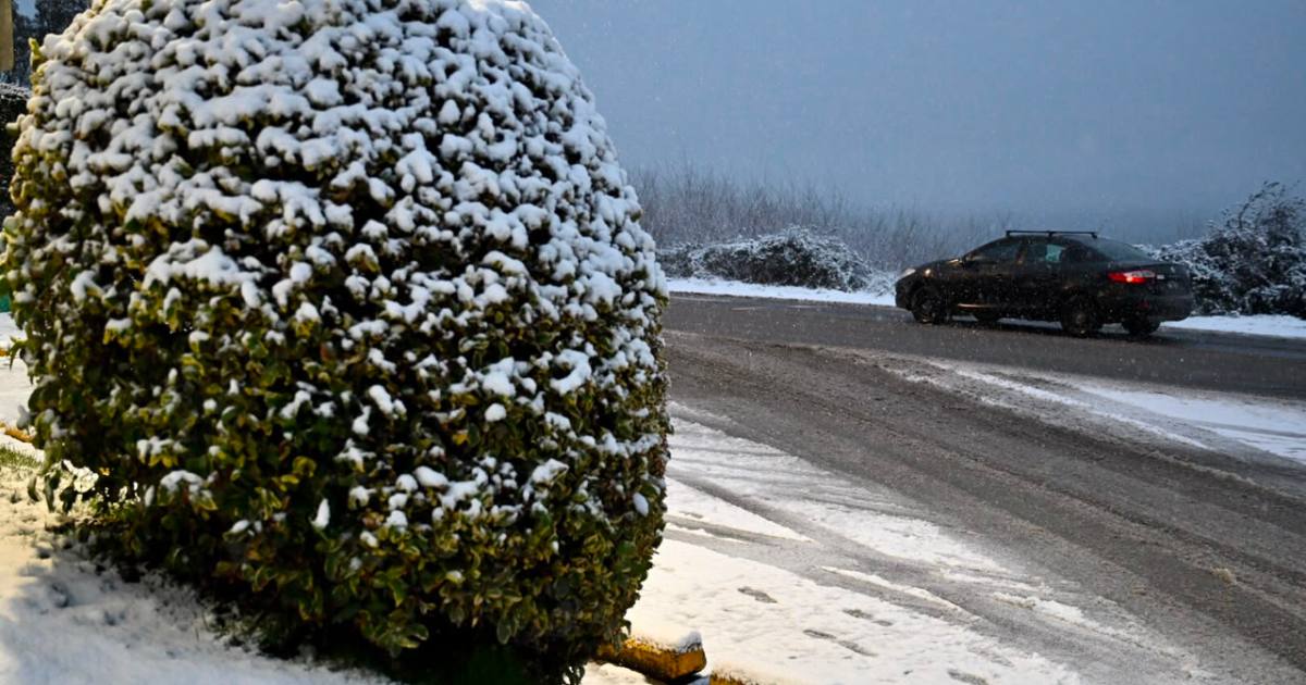 Rutas complicadas este lunes 27: reaperturas en la cordillera, niebla en el Alto Valle y estado de pasos a Chile