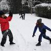 Imagen de La madrugada hizo magia: Bariloche despertó cubierta de nieve