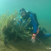 Imagen de Invitan a descubrir los secretos que esconde el lago Nahuel Huapi bajo el agua